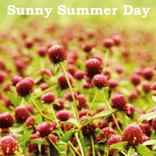 You're the One for Me