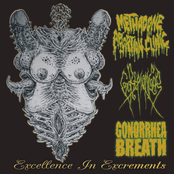 Excellence In Excrements