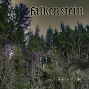 Nur Eine Stunde Im Grünen Wald by Falkenstein