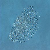 Murmuration and Mosaic (Special Edition)