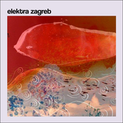 Giving Birth: The Young Whales