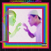 Disordered Simulation