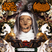 Putrid Sanctity