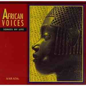 african voices