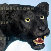 Singletown Zip 001
