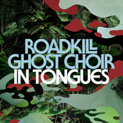 Slow Knife by Roadkill Ghost Choir