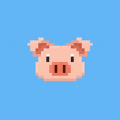 Pixel Pig