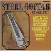 Steel Guitar Favorites (Remastered from the Original Somerset Tapes)