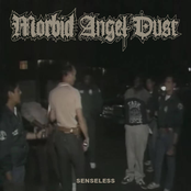 Split LP w/ Civilian Thrower