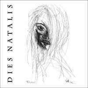 Have You Ever by Dies Natalis