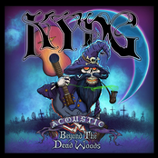 Beyond The Dead Woods