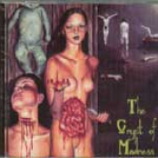 The Crypt Of Madness (Split)