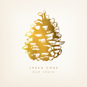 Searching For Silence by Urban Cone