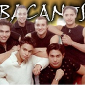 los bacanos