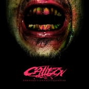 Phantomschmerz by Callejon