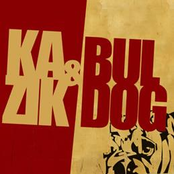 kazik&buldog