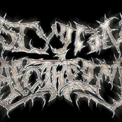 The 1000 Year Journey