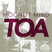 Moonlit Mind