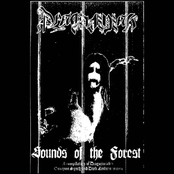 Sounds of the Forest