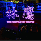 THE WORLD IS YOURS
