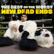 New Dead Ends