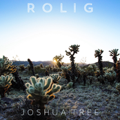 Joshua Tree