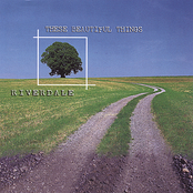 These Beautiful Things