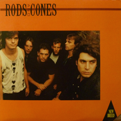 Rods and Cones: New Breed