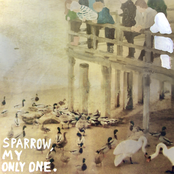 Sparrow, my only one.