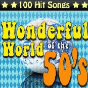 The Wonderful World Of The 50's - 100 Hit Songs