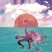Pulpo