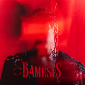 BamBam: BAMESIS