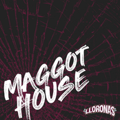 Maggot House