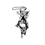 Street Racer: All At Once