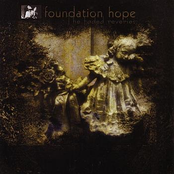 Purging Discontent by Foundation Hope