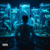 SOBRECARGA (ALTA TENSÃO DELUXE)