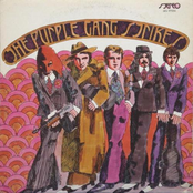 Mr Aldred Jones by The Purple Gang