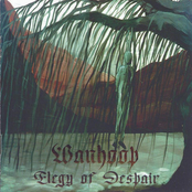 De Verdoken Waarheid & Elegy Of Despair