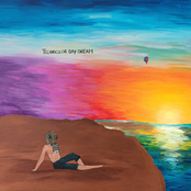 Sun Junkies: Technicolor Daydream