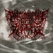 Sacrament of Flesh