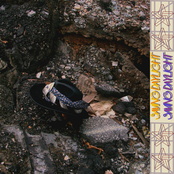 Times Beach Refused To Die