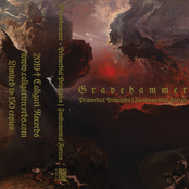 Primordial Principles | Fundamental Forces