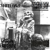 Shitload / Urinology / Fascitis Necrosante / Cranial Osteosarcoma