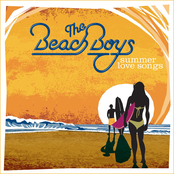 Fallin' In Love by The Beach Boys