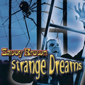 Strange Dream by Savoy Brown