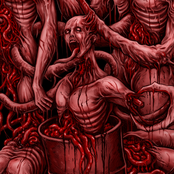 Multiple Stab Wounds (Unmixed / Unmastered Demo)