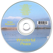 Wonderful Peace
