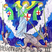 Holy Cross by Heliotropes