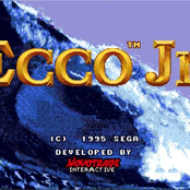 ecco jr.