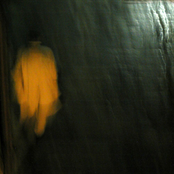 Fear and the Lizard People of Pretoria